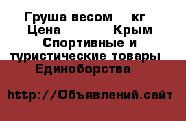Груша весом 25 кг › Цена ­ 2 700 - Крым Спортивные и туристические товары » Единоборства   